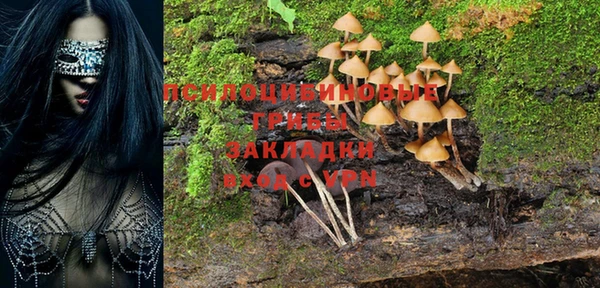 ALPHA PVP Аркадак