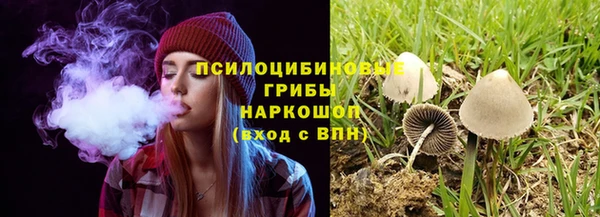 индика Нефтекумск