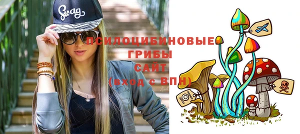 гидропоника Нея